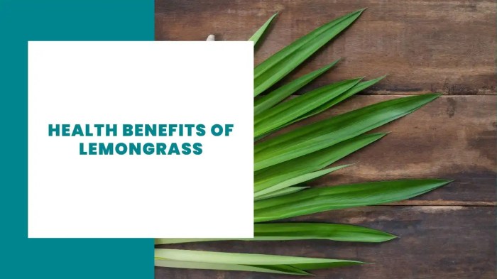 Health Benefits of Lemongrass - YouTube Health Benefits of Lemongrass - YouTube