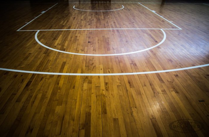 Basketball court with The Chicago Bulls Logo - Chicago, FLOORecki LLC ... Basketball court with The Chicago Bulls Logo - Chicago, FLOORecki LLC ...