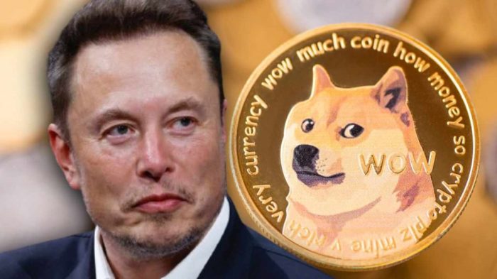 Elon Musk Tweet Fuels Dogecoin Surge, Sends Department Of Government ...