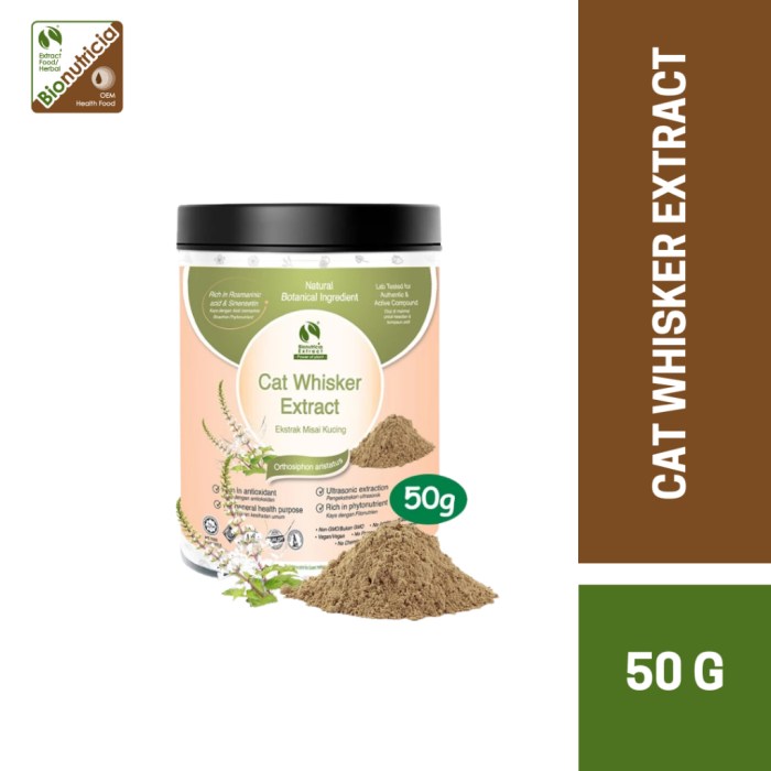 Bionutricia Cat's Whiskers, Misai Kucing Standardized Extract Powder ... Bionutricia Cat's Whiskers, Misai Kucing Standardized Extract Powder ...
