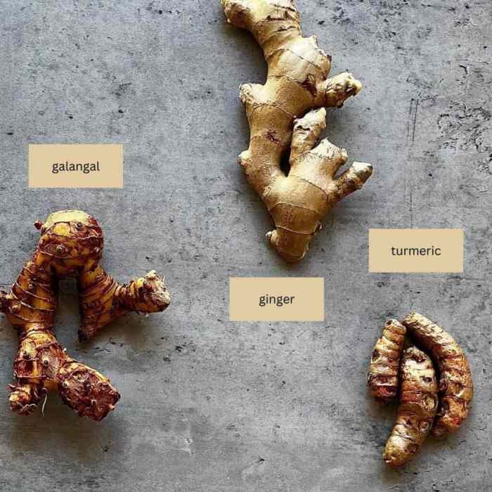 Galangal, Ginger, and Turmeric - Sticky Rice Thai Kitchen