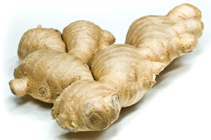 Spice of the Month: Ginger | Sargent Choice Blog Lengkuas adalah