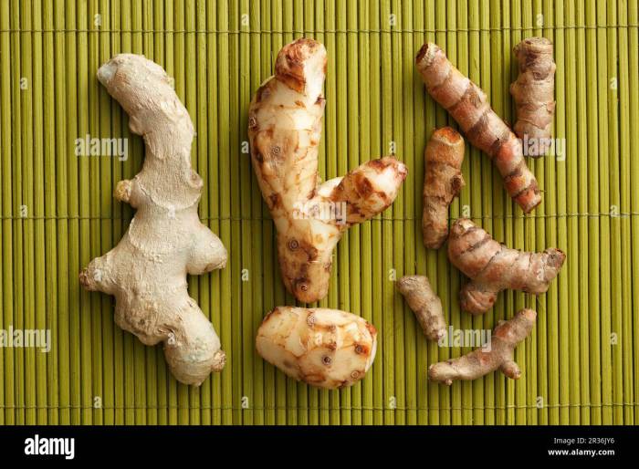 Manfaat jahe kunyit sereh lengkuas untuk diet