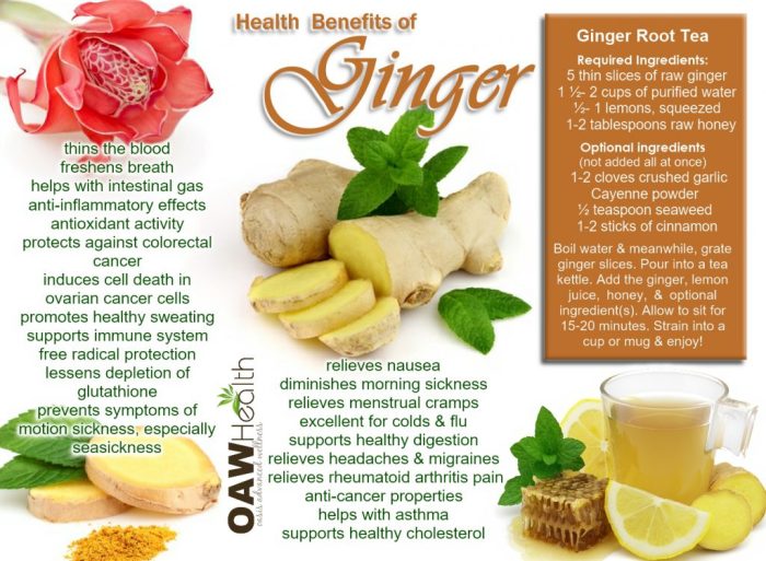 Remarkable Health Benefits of Ginger - OAWHealth