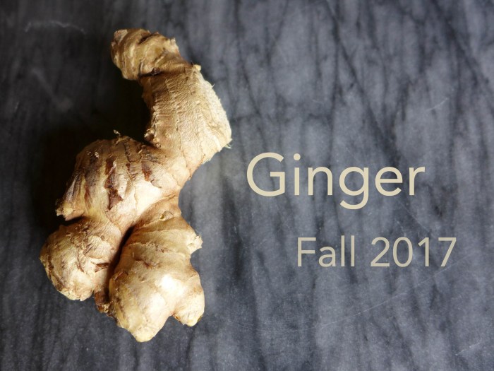 Ginger Our Ingredient of the Season: Origin, Biology, and Uses Ginger Our Ingredient of the Season: Origin, Biology, and Uses