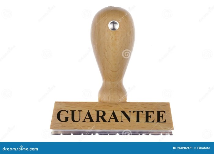 Which Guarantee Do You Want? – Smart Money Group, LLC Which Guarantee Do You Want? – Smart Money Group, LLC