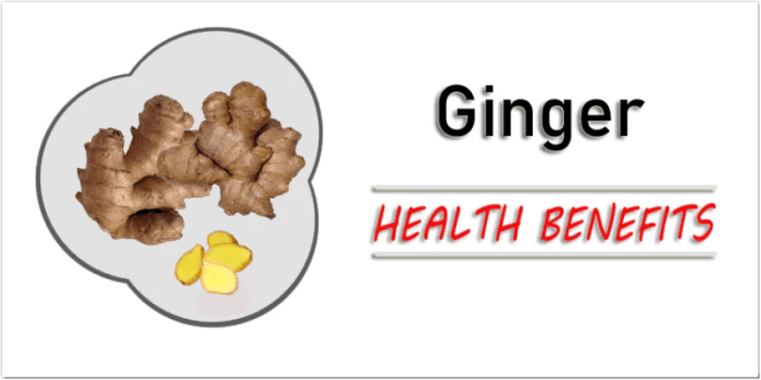 Benefits of Ginger (HOW IT WILL CHANGE YOUR LIFE) - YouTube Manfaat jahe putih