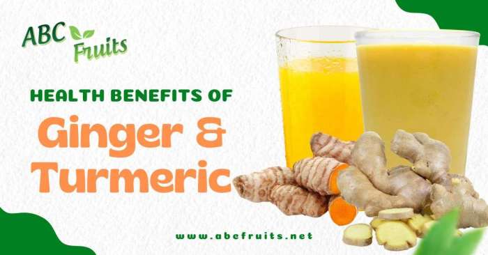 Benefits of turmeric and ginger Ginger Powder Benefits, Health Benefits ...