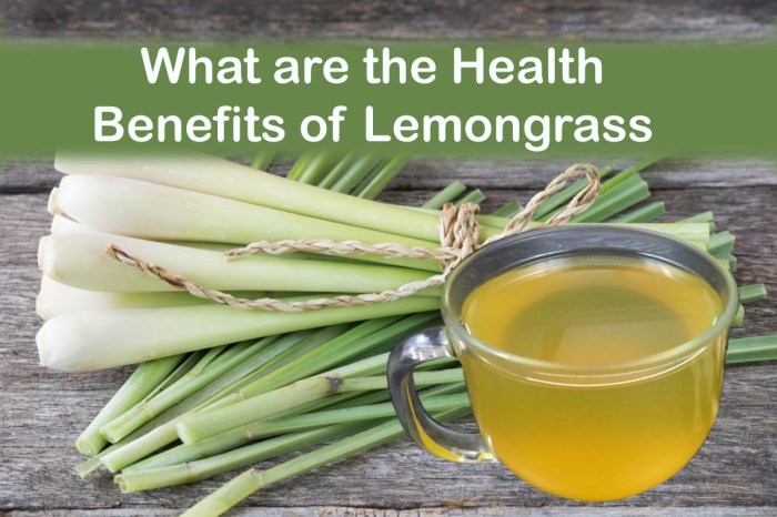 Lemongrass Tea Benefits 10 manfaat serai