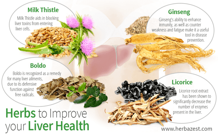 Herbal Liver for Liver Detoxification - Your Site Name