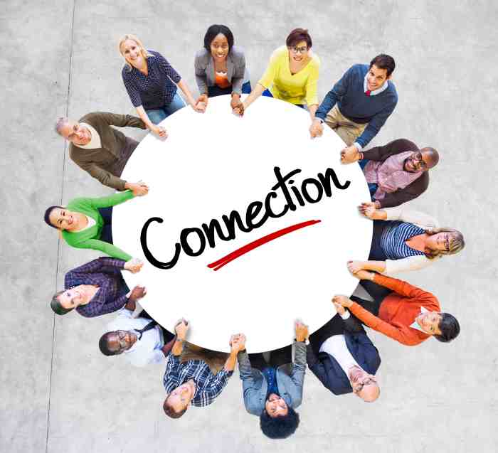 The Importance of Connection The Importance of Connection