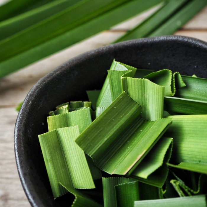 Premium Photo | Close-up of pandan leaves on a drinking table as thai herbs Premium Photo | Close-up of pandan leaves on a drinking table as thai herbs