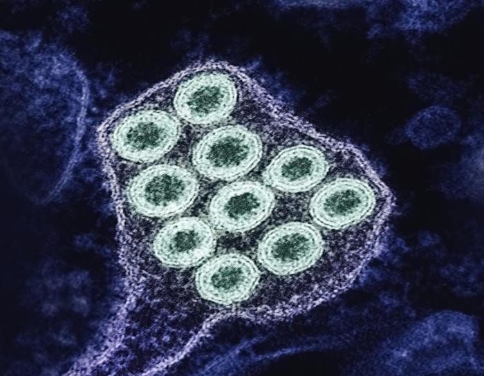 Understanding Biotoxin Illness and Its Mental Health Impact Understanding Biotoxin Illness and Its Mental Health Impact