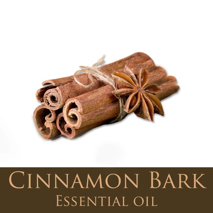 Cinnamon Bark Organic Essential Oil-EOCNMB