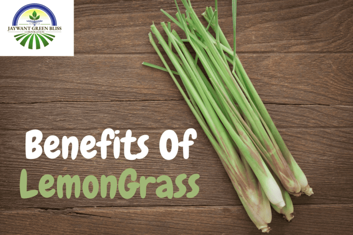 The Health Benefits of Lemongrass