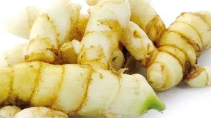 30 manfaat kunyit putih