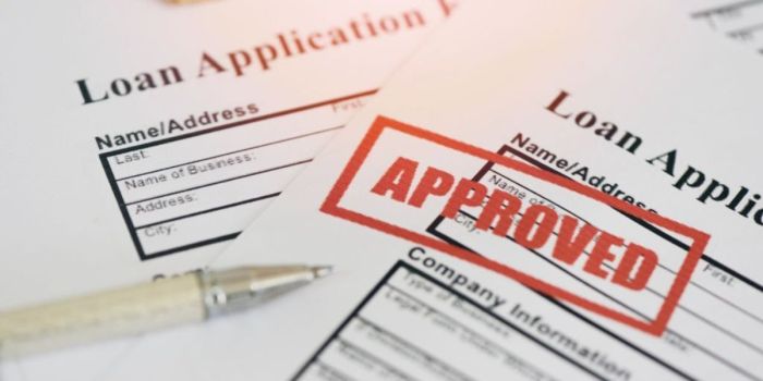 Questions You Always Wanted to Know on Small Business Loans