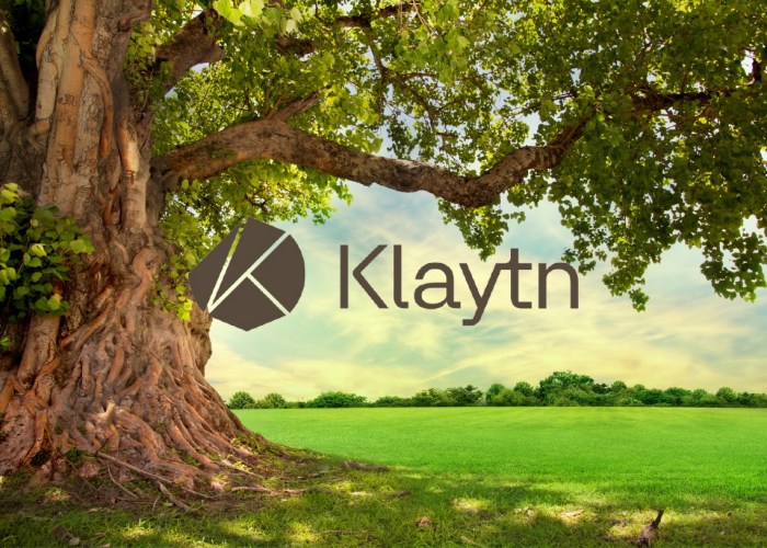 Klaytn Coin: Review, Harga, dan Prediksi 2025