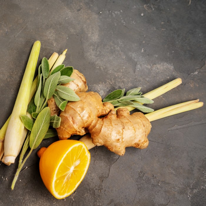 Lemongrass and Ginger Juice - Foxy Folksy Lemongrass and Ginger Juice - Foxy Folksy