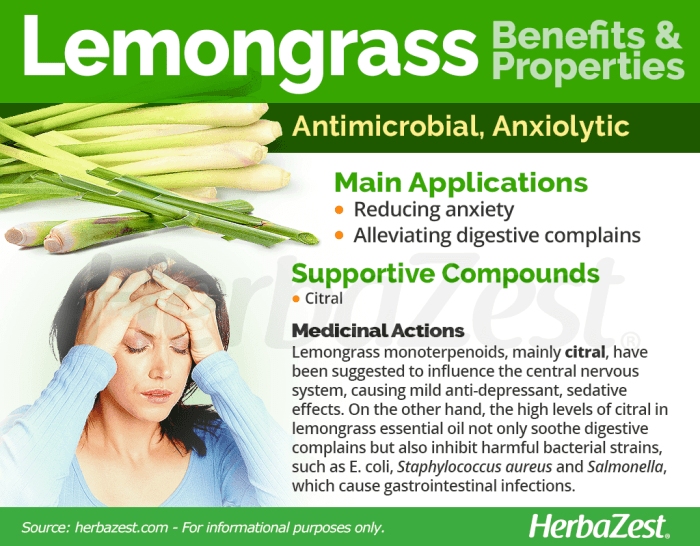 The Miraculous benefits of Lemongrass You need to know! | Coconut ... Manfaat serai untuk kesehatan