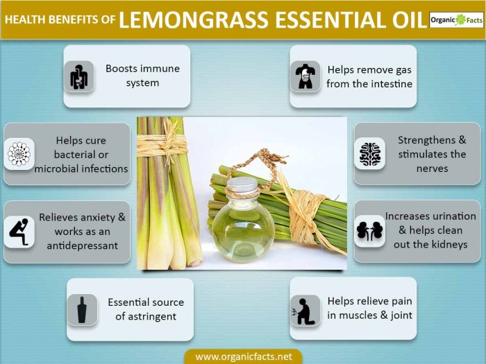Lemongrass | HerbaZest Lemongrass | HerbaZest