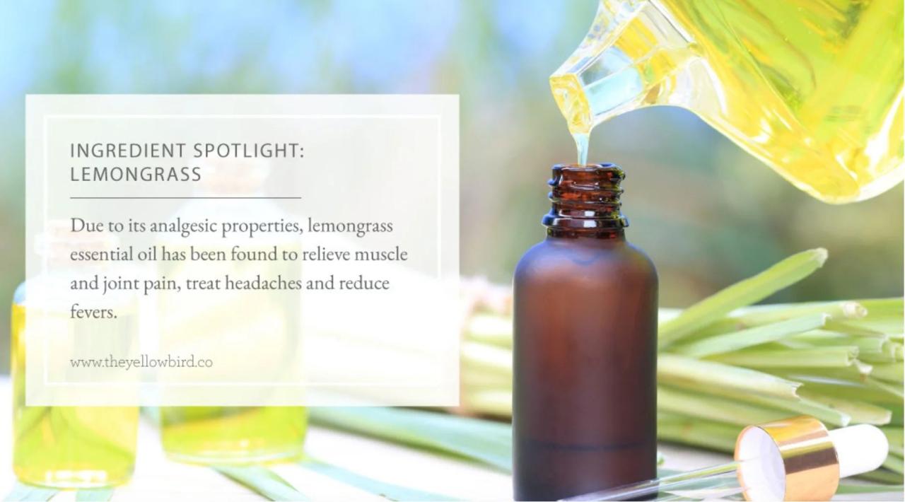 Top 13 Health Benefits Of Lemongrass | Lemon grass, Antioxidants ... Manfaat serai dan jeruk nipis untuk wajah