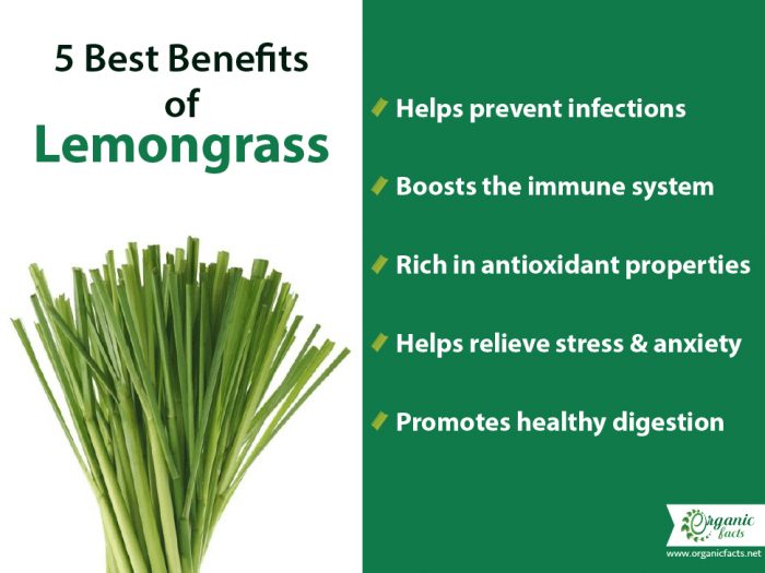 Lemongrass Benefits Lemongrass Benefits