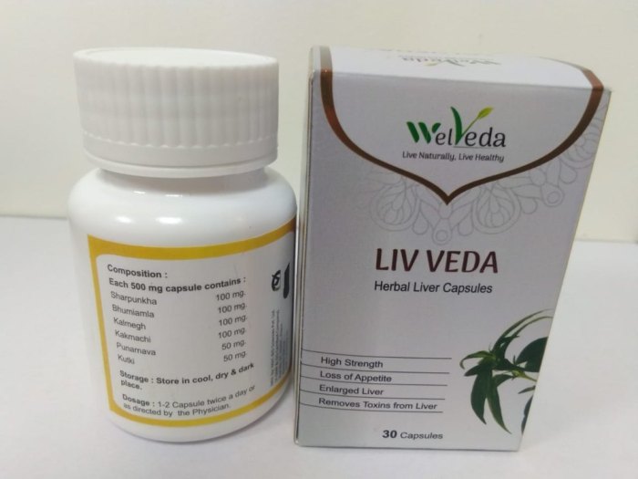 Herbs to Improve your Liver Health | HerbaZest