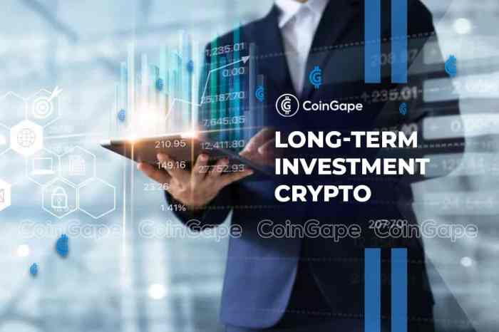 Top 12 Coins for Long Term Crypto Investment