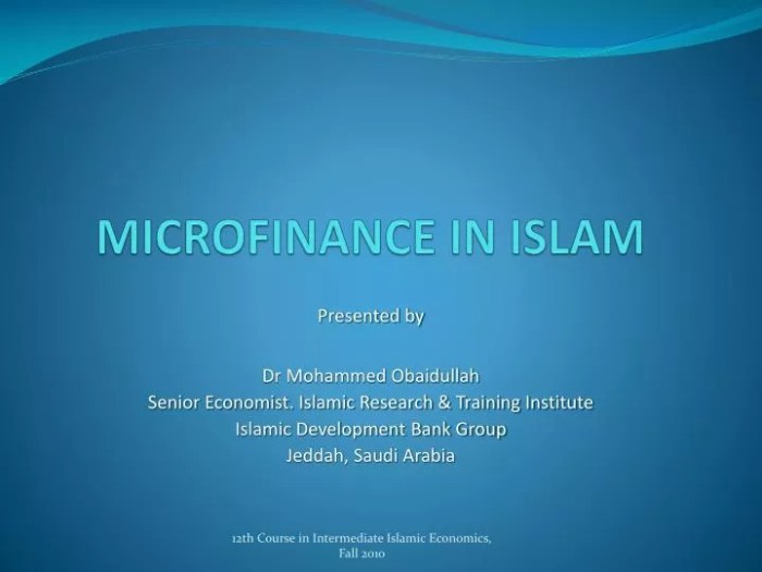 What is Islamic Micro Finance | Microfinance | Islamic Banking And Finance What is Islamic Micro Finance | Microfinance | Islamic Banking And Finance