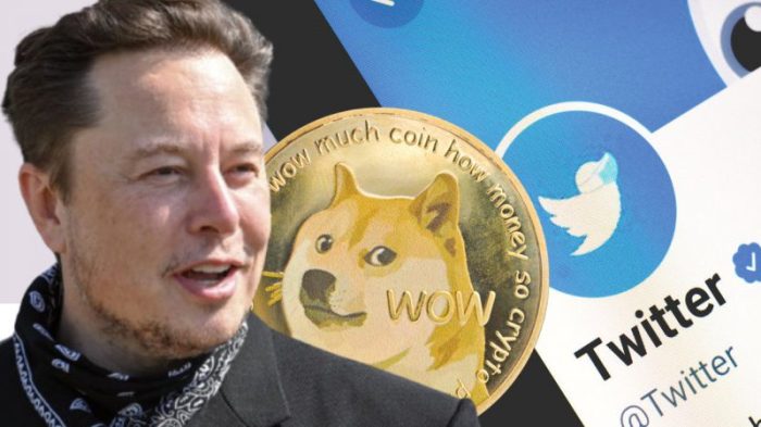 Dogecoin (DOGE): Dari Meme Jadi Investasi Nyata