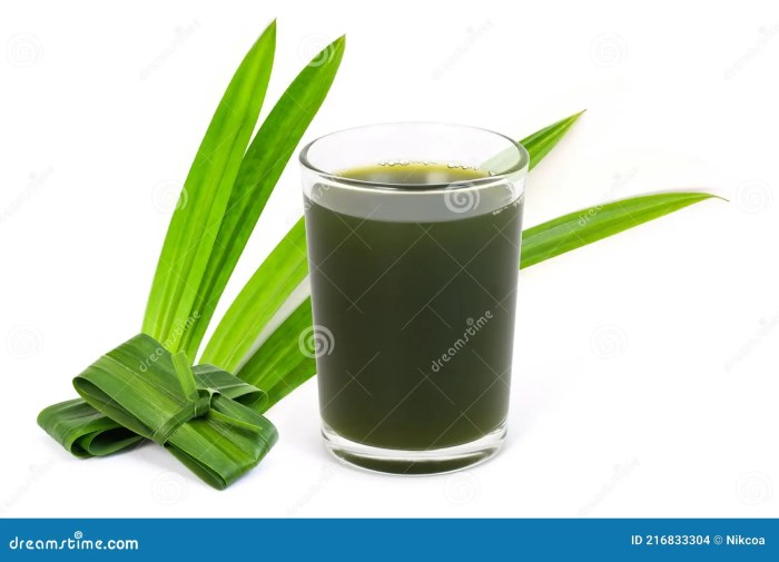 Organic Pandan 40 Tea Bags natural Corn Fiber Sachet thai Pandanus ... Bolehkah minum rebusan daun pandan setiap hari