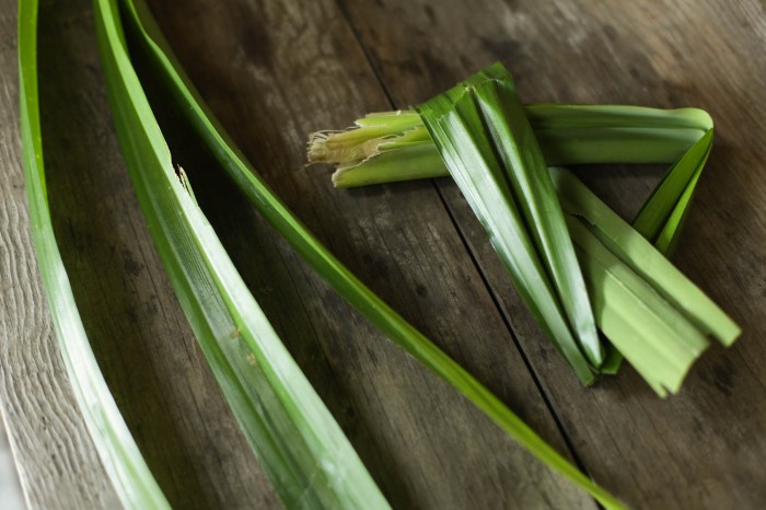Health Benefits of Pandan Leaves - MEGAGRICO VIETNAM