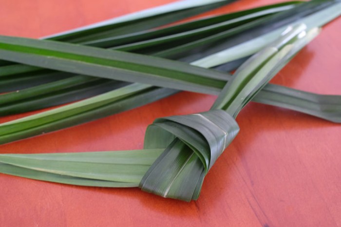 Pandan facts and health benefits