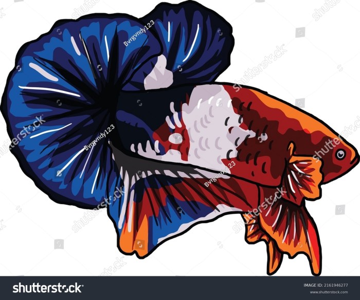 Plakat Koi Betta Fish Gang in 2020 | Koi betta, Fresh water fish tank ... Plakat Koi Betta Fish Gang in 2020 | Koi betta, Fresh water fish tank ...