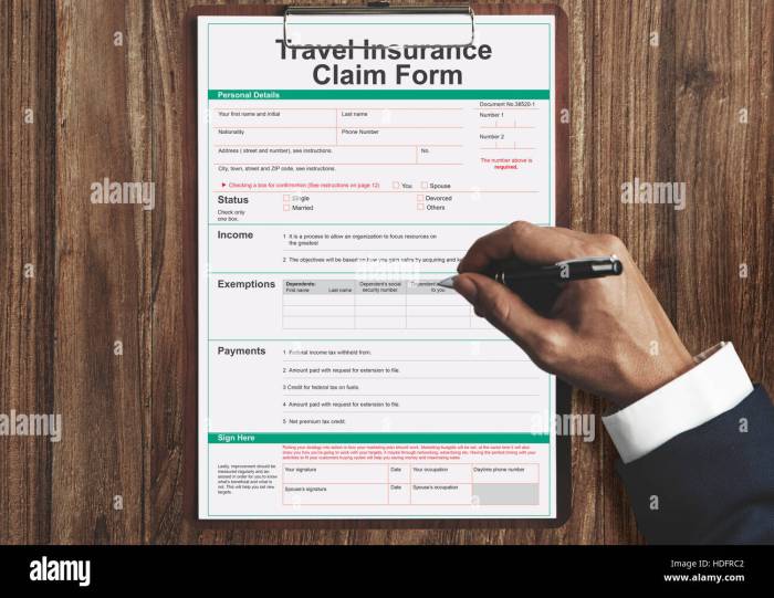 29 Travel Insurance Statistics for 2025: Key Insights 29 Travel Insurance Statistics for 2025: Key Insights