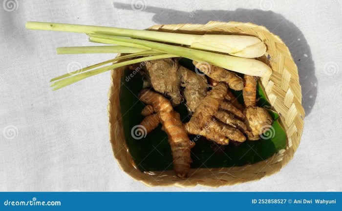 Health Benefits of Turmeric and Ginger Health Benefits of Turmeric and Ginger