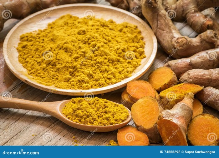 Turmeric Powder - MM Organic