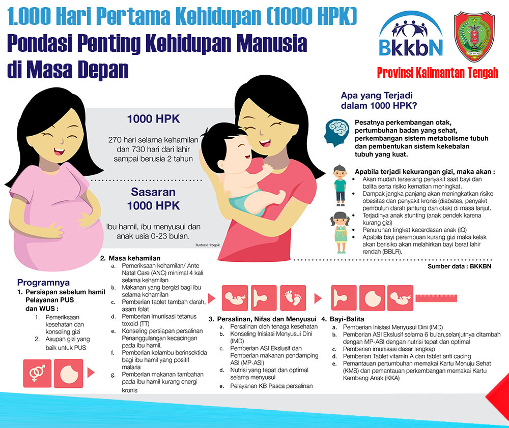 Pengasuhan 1.000 Hari Pertama Kehidupan (HPK): Antara Budaya dan Data Pengasuhan 1.000 Hari Pertama Kehidupan (HPK): Antara Budaya dan Data