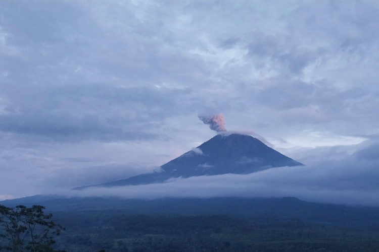 Gunung Semeru Erupsi, Letuskan Abu Vulkanik Setinggi 1.000 Meter Gunung Semeru Erupsi, Letuskan Abu Vulkanik Setinggi 1.000 Meter
