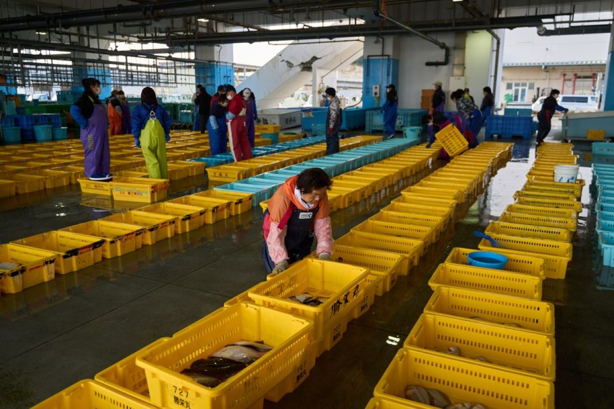 Menkes Minta Jaminan Jepang Terhadap Impor Makanan Menkes Minta Jaminan Jepang Terhadap Impor Makanan