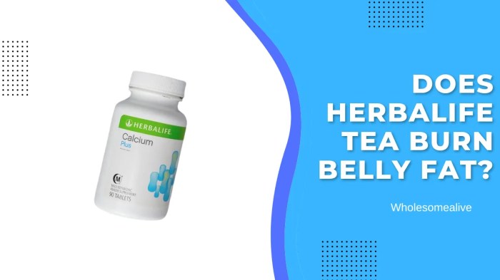 Does Herbalife Tea Burn Belly Fat? 9 Critical Side Effects Listed Teh peluntur lemak herbalife