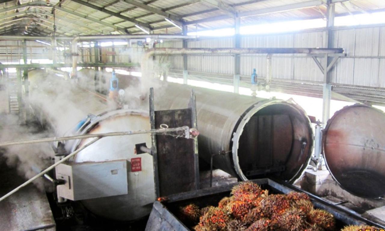 RI Siap Hasilkan Rp2.400 Triliun dari Hilirisasi Kelapa hingga Ciptakan 1,6 Juta Lapangan Kerja RI Siap Hasilkan Rp2.400 Triliun dari Hilirisasi Kelapa hingga Ciptakan 1,6 Juta Lapangan Kerja