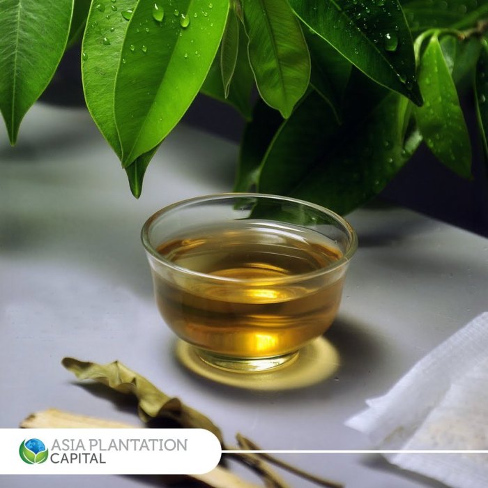 Herbal Agarwood Green Tea, Packaging Type: Packet, Packaging Size: 20 ... Herbal Agarwood Green Tea, Packaging Type: Packet, Packaging Size: 20 ...