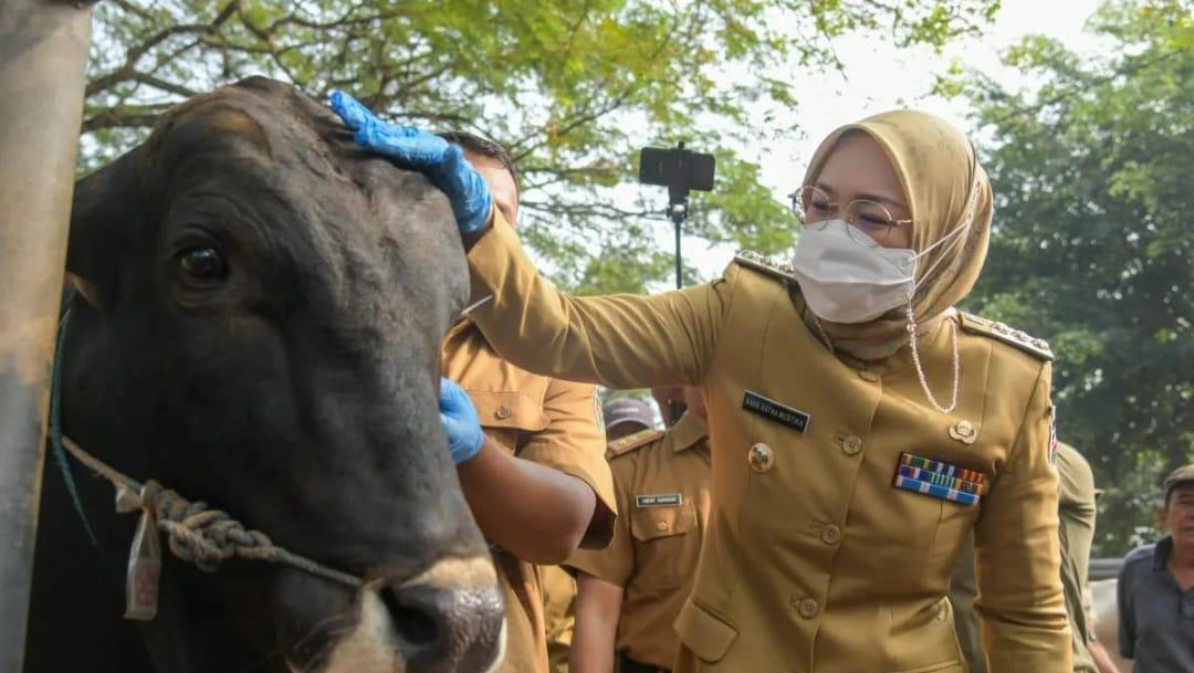 Antisipasi Corona, Istana Perketat Lalu Lintas Tamu
