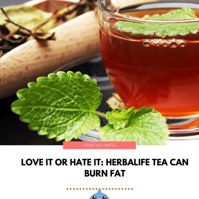 How Does Herbalife Tea Burn Fat And Kickstart Your Metabolism? How Does Herbalife Tea Burn Fat And Kickstart Your Metabolism?