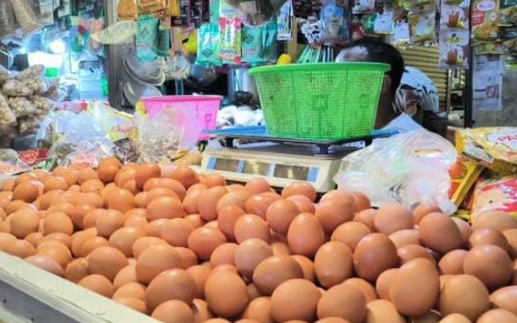 Harga Pangan Hari Ini: Telur Hampir Rp30 Ribu dan Cabai Rp58 Ribu per Kg Harga Pangan Hari Ini: Telur Hampir Rp30 Ribu dan Cabai Rp58 Ribu per Kg