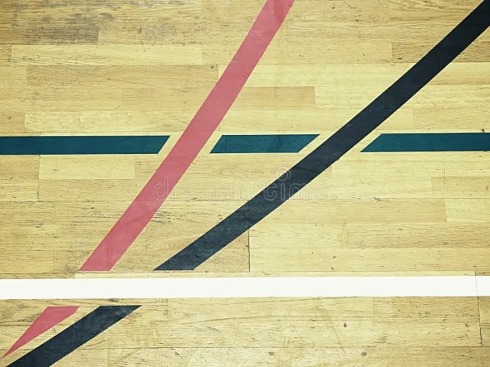 Painted Wood Floor ,parquet Hardwood in Basketball Court. the Floor ...