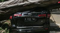 8 Pohon Tumbang Timpa Mobil dan Toko di Jaksel, BPBD DKI: 1 Orang Tewas 8 Pohon Tumbang Timpa Mobil dan Toko di Jaksel, BPBD DKI: 1 Orang Tewas