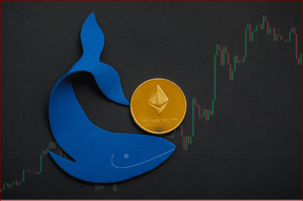 Whale Mulai Bergerak, Altcoin Ethereum Siap Masuk Fase Kenaikan Baru